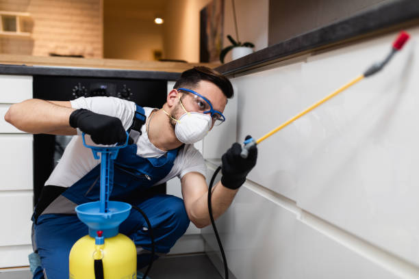 Best Flea Control Services  in Highwood, IL