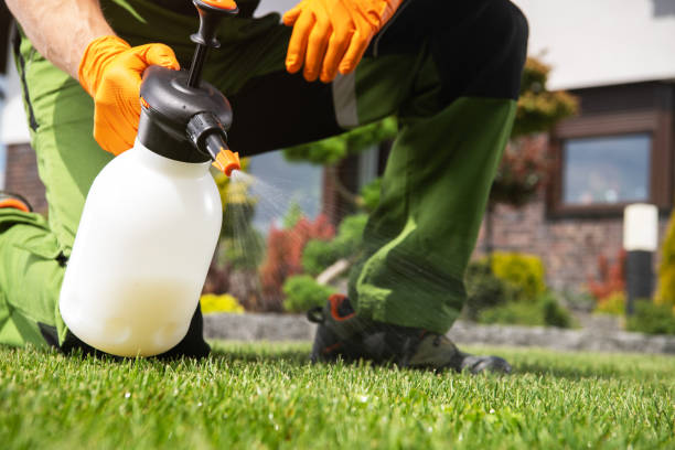 Best Best Pest Control Companies  in Highwood, IL