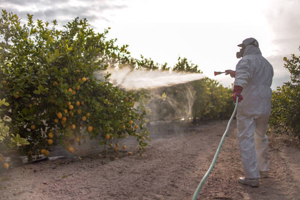 Best Pest Prevention Services  in Highwood, IL