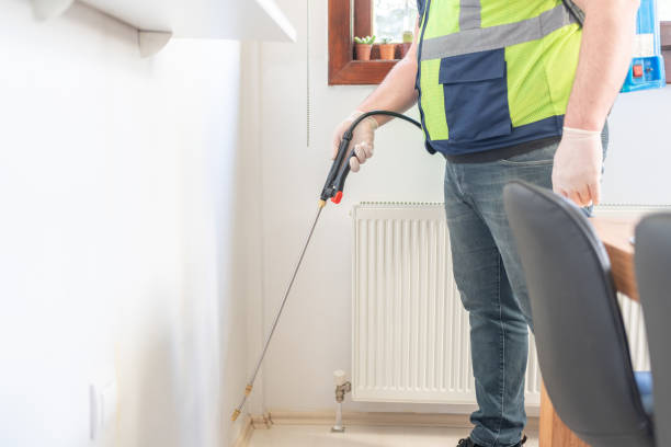 Best Local Pest Control Services  in Highwood, IL
