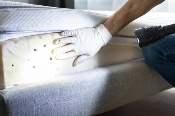 Wildlife Control Services in Highwood, IL