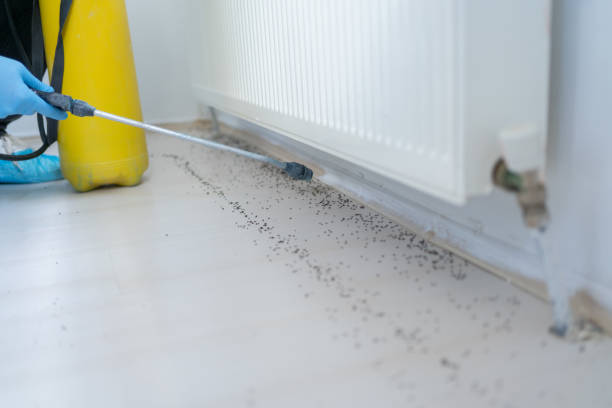 Best Residential Pest Control  in Highwood, IL