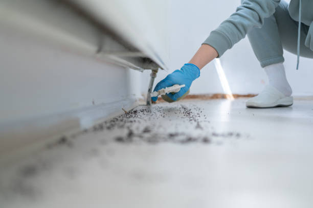 Best Mosquito Control Services  in Highwood, IL